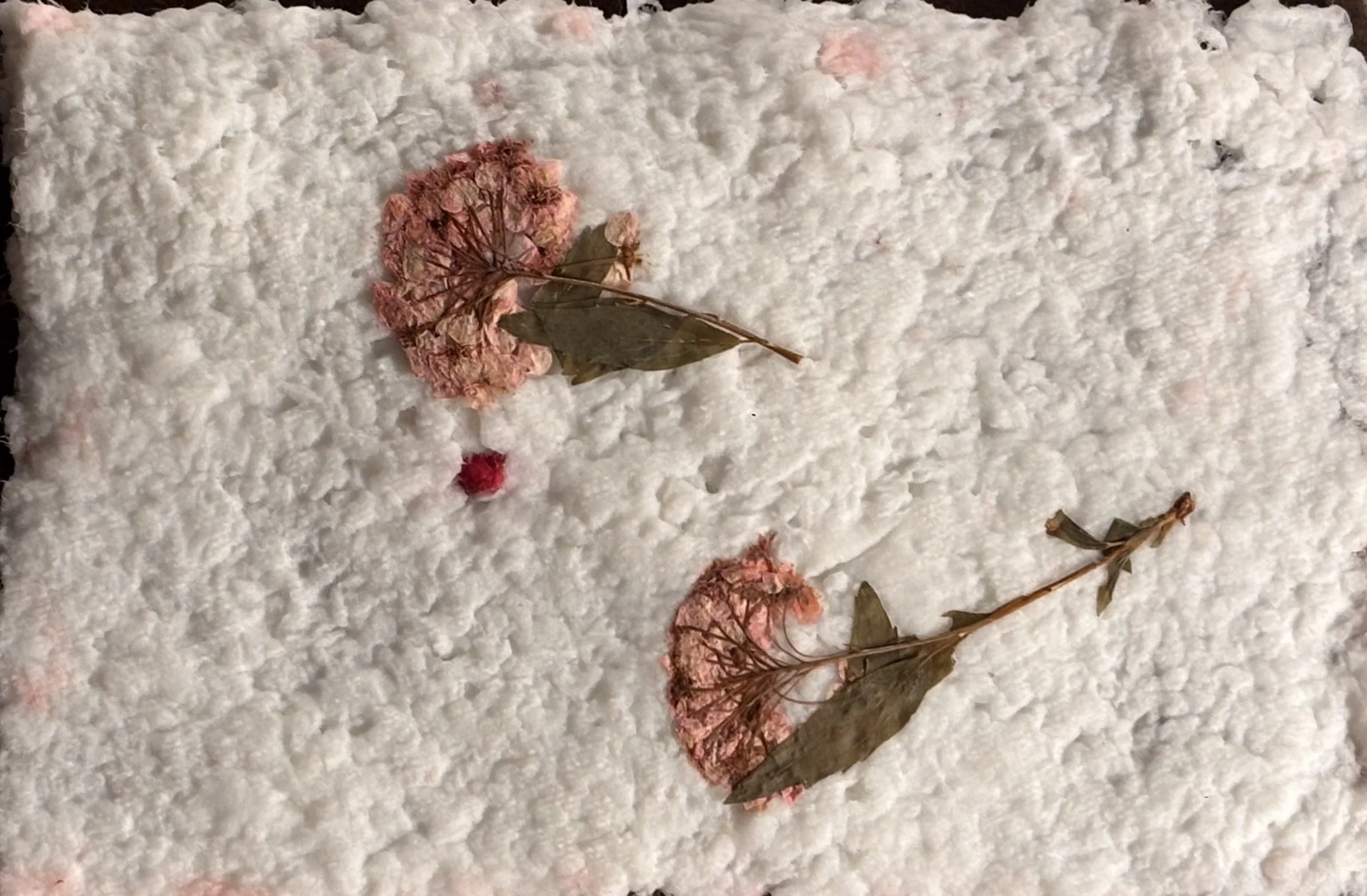 Medium &amp; Techniques | Papermaking