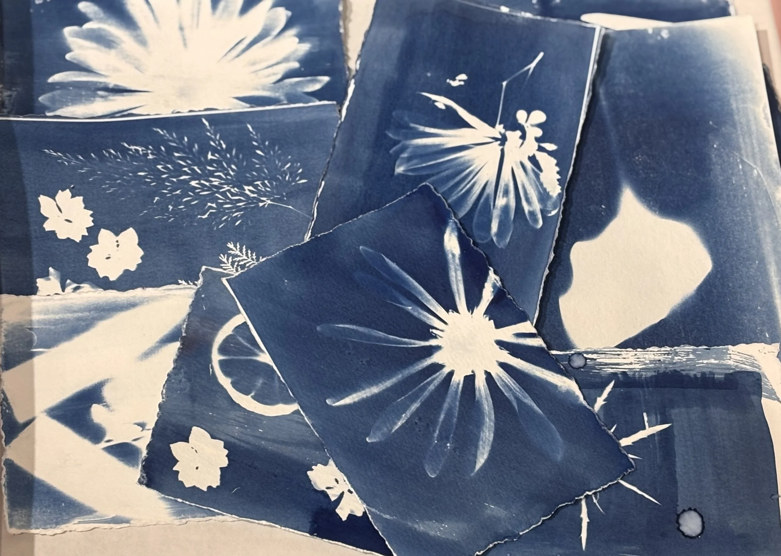 Arlo NoMad Medium &amp; Technique | Cyanotype