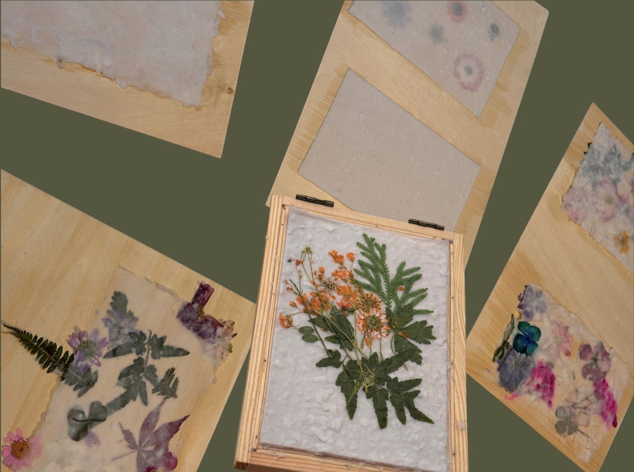 Medium &amp; Technique | Papermaking