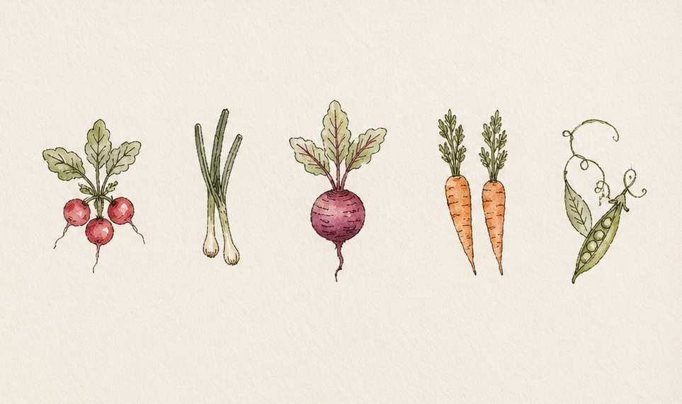 Watercolors: Autumn Harvest