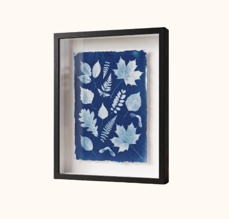 Framed artwork featuring multiple blue and white leaf and plant prints on a textured paper background.