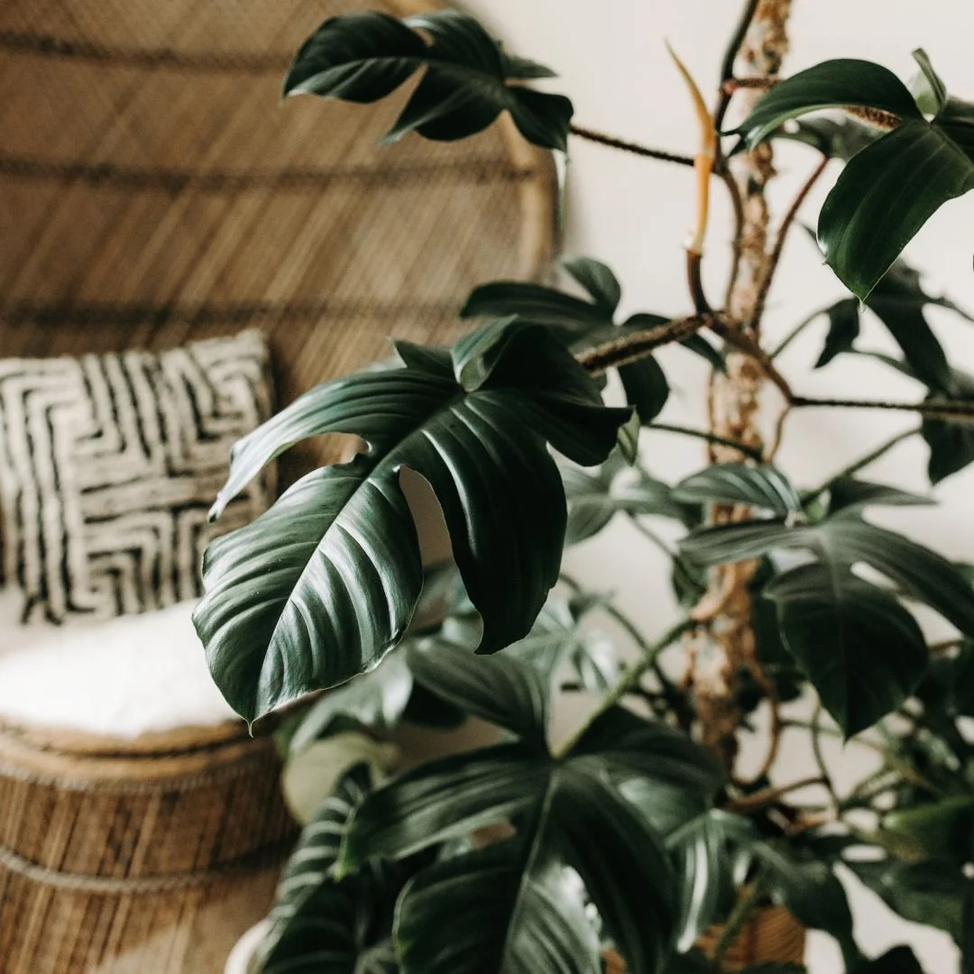 Divorce Guide | Fresh Starts Registry