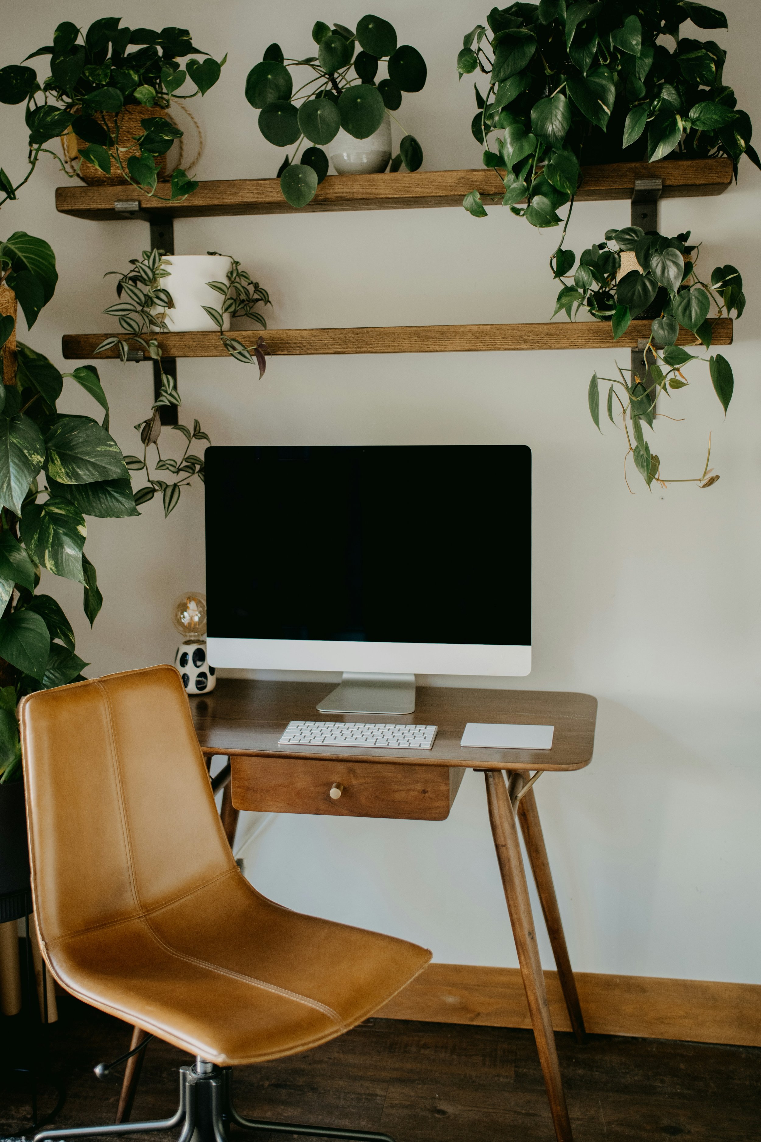 The Power of Freebies: How a Simple Resource Can Turn Into a Lifelong Client