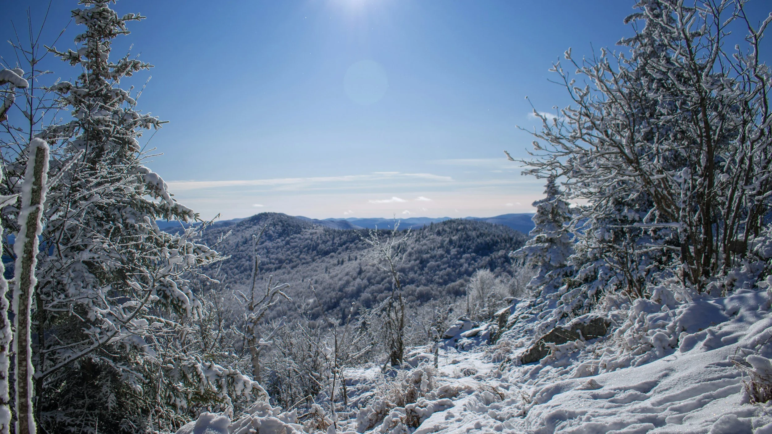 How Do You File for Divorce in Vermont If You Have Kids and a House?