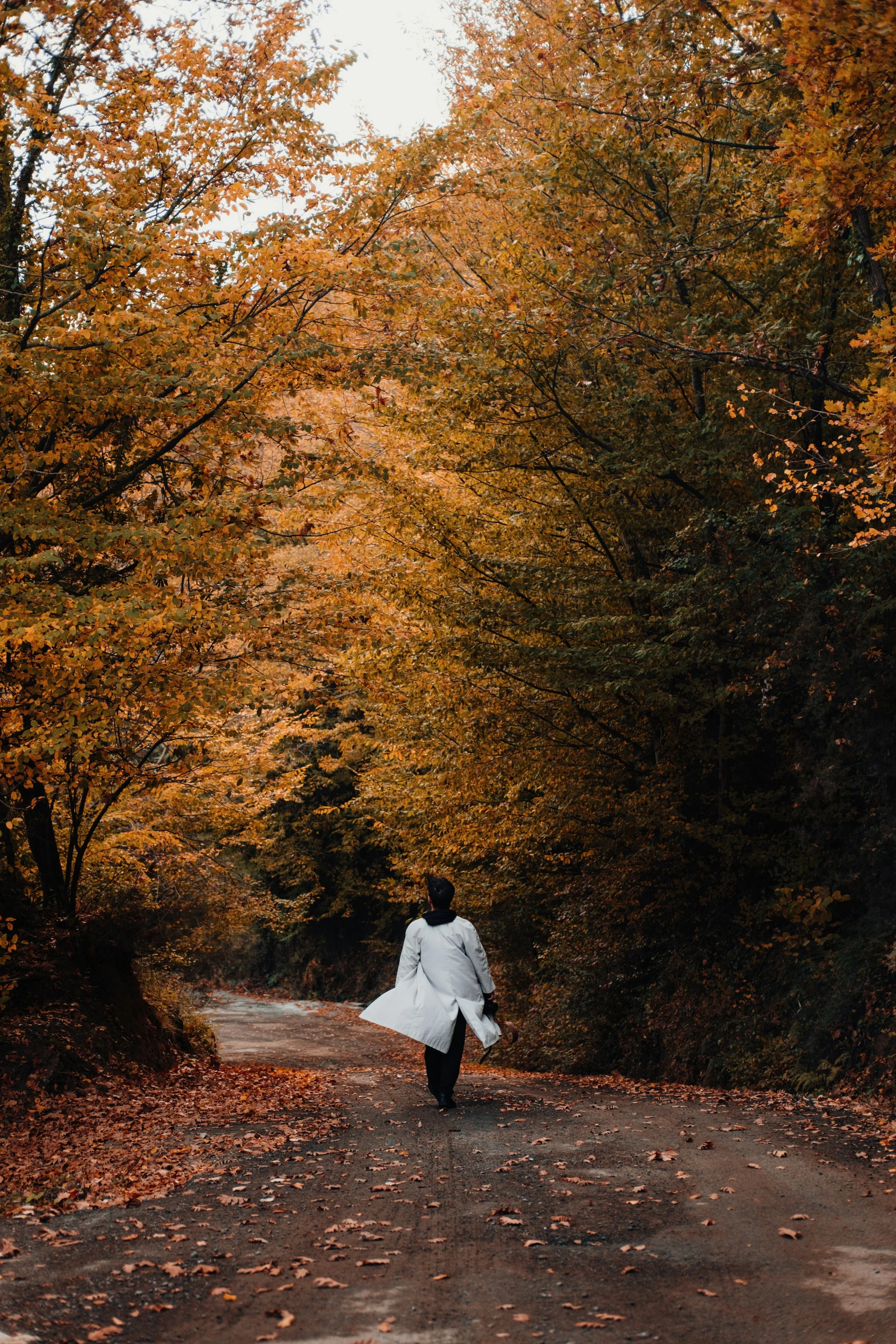 Falling Leaves and Failing Marriages
