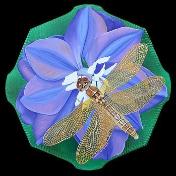Dragonfly On Purple Flower 25x25.jpg