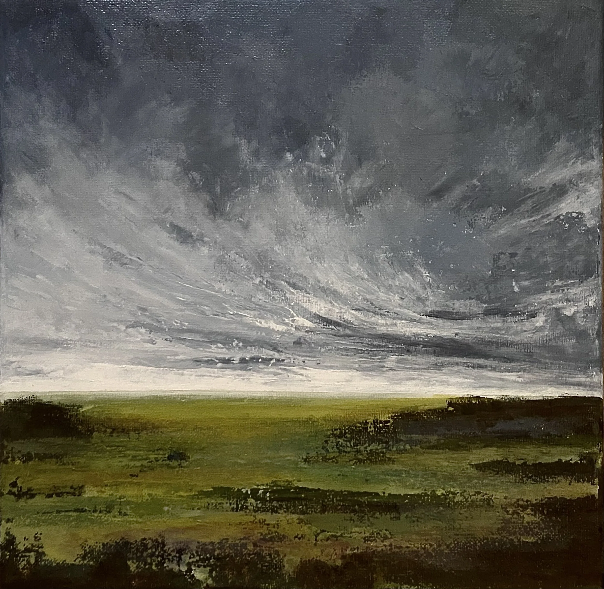 Cloak Of Grey And Green. Laya Joseph