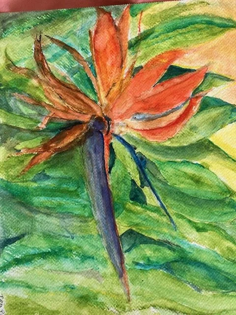 Bird of Paradise. Pollak