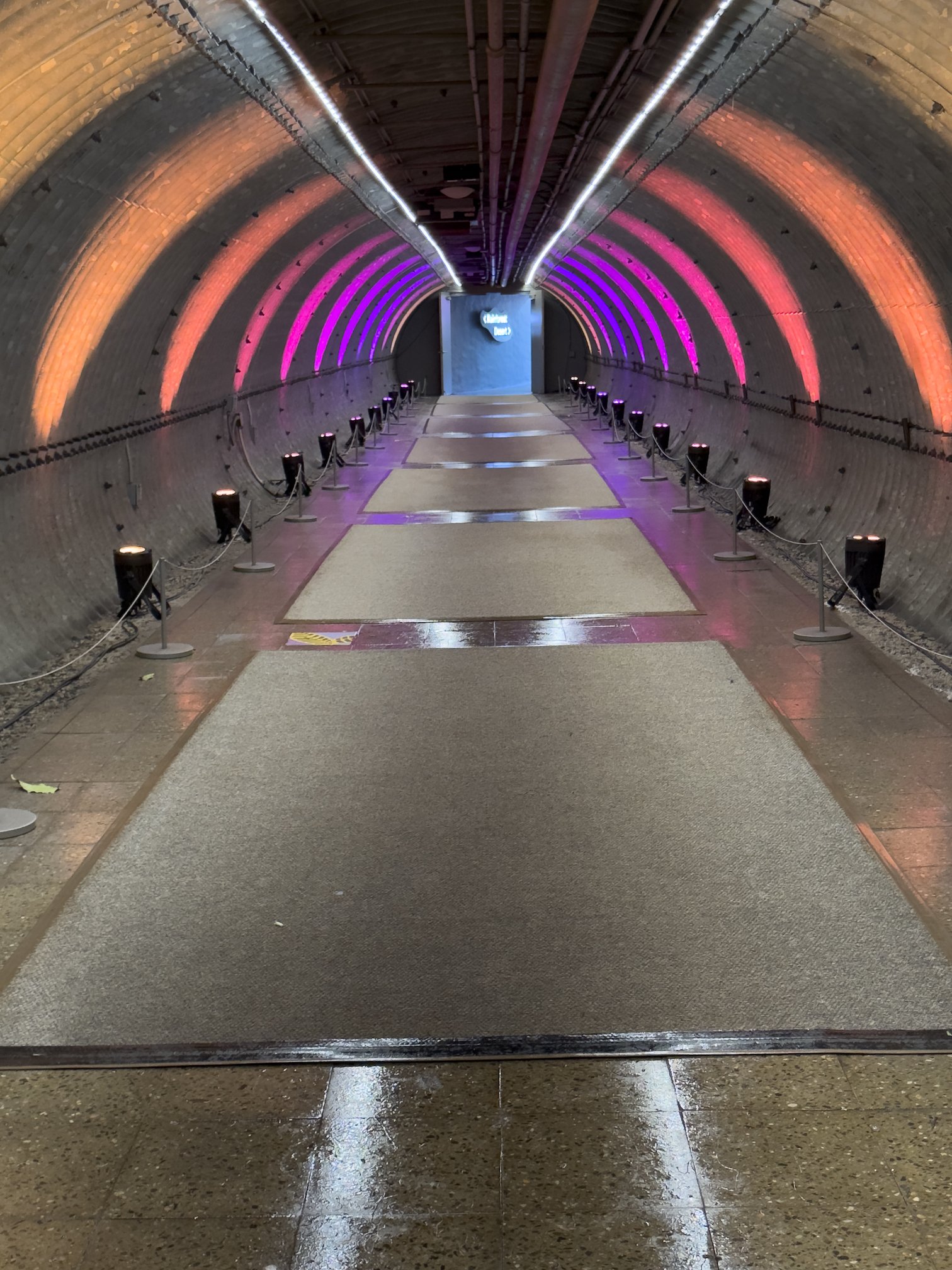 ARBOR YOUNG-Tunnel of Love.jpg