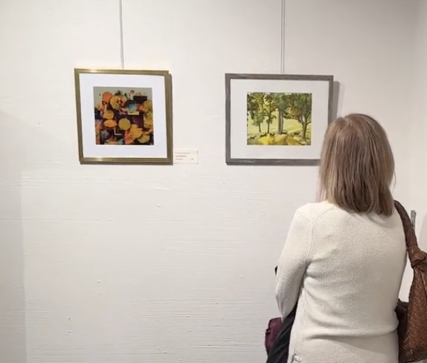 A woman looking at two artworks