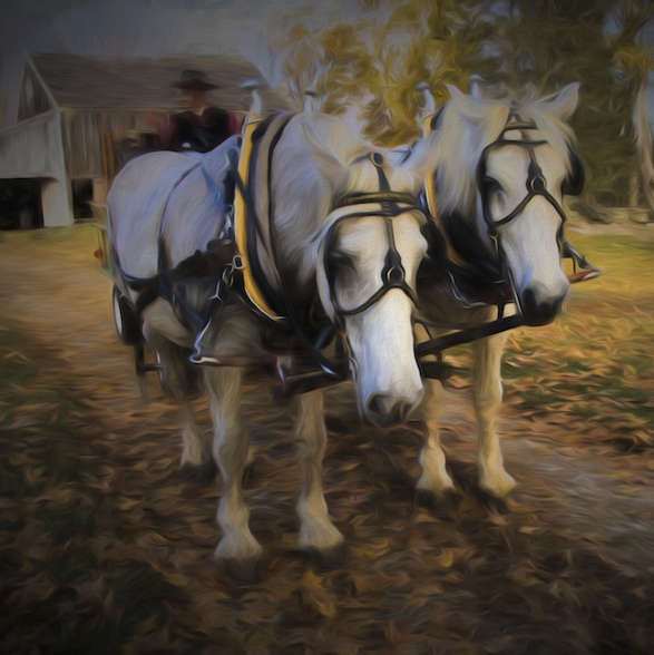 Pulling the Cart. Helen Arbor Young