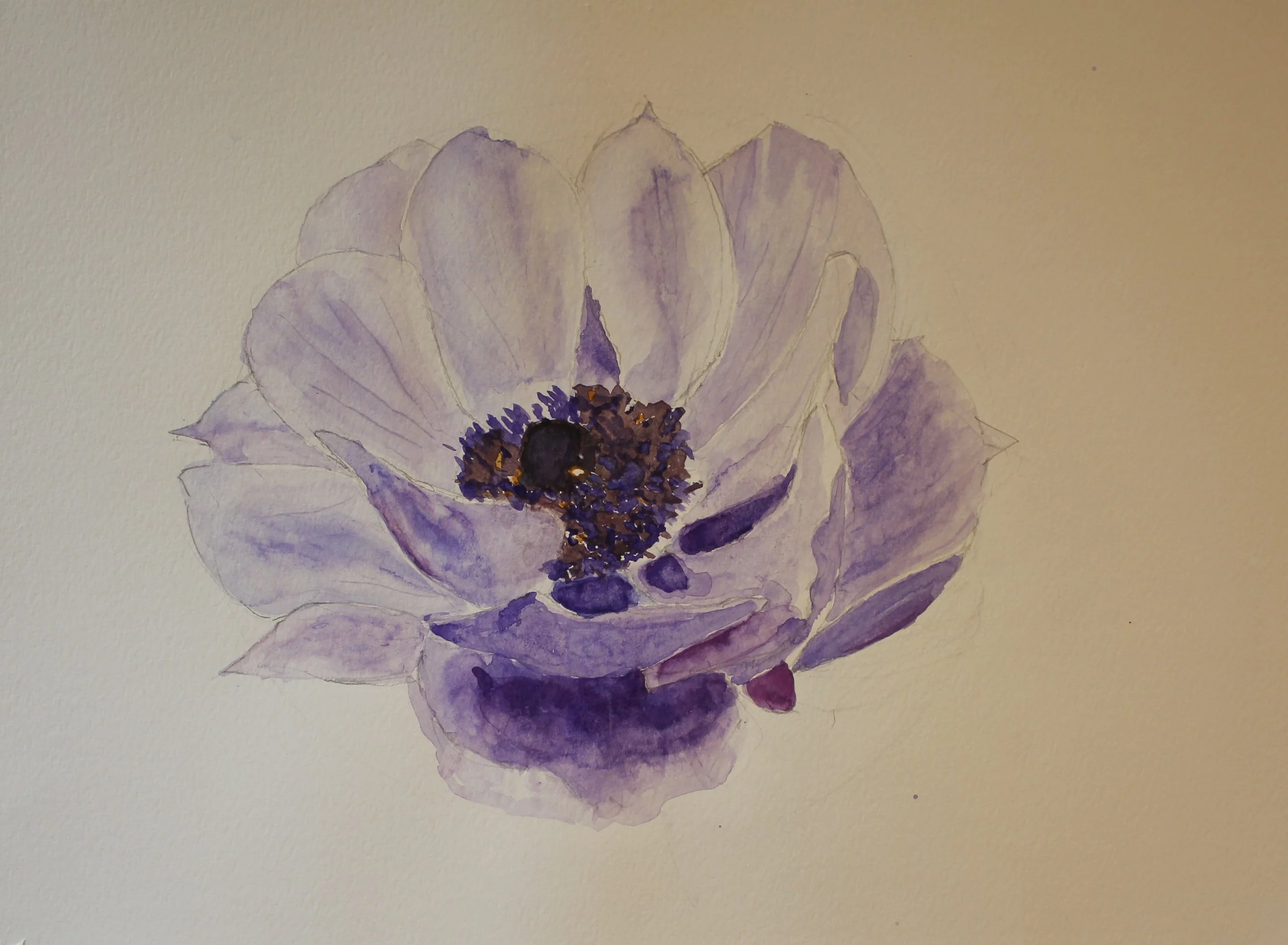 Anemone Watercolor Painting