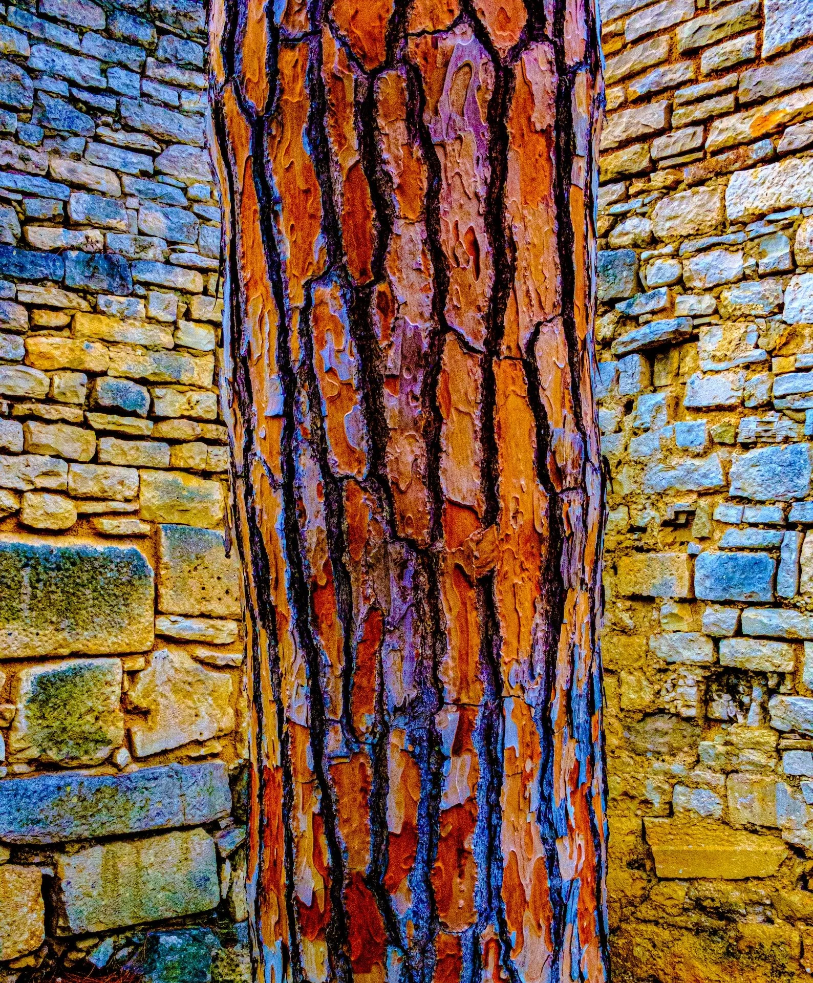 Trunk Show, David Greene
Photograph, 22"x32", $425