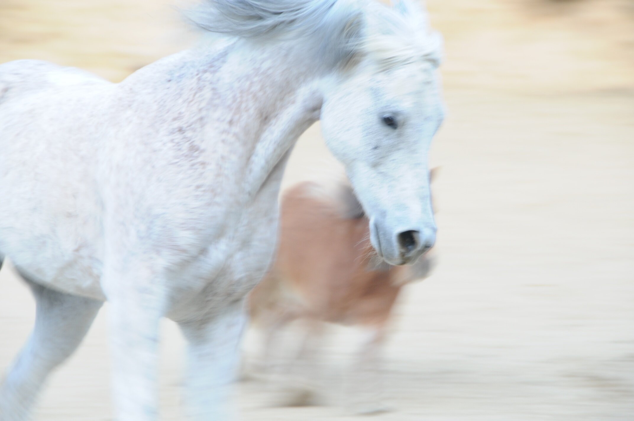 JGphoto 2021 221.jpg