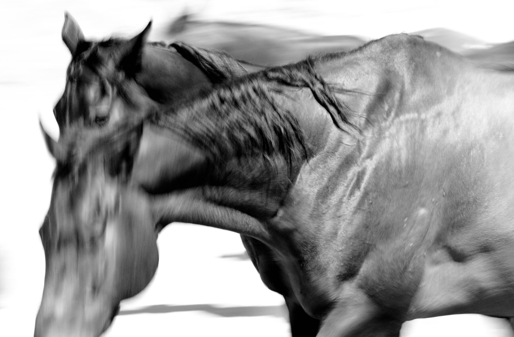 JGphoto 2021 114.jpg