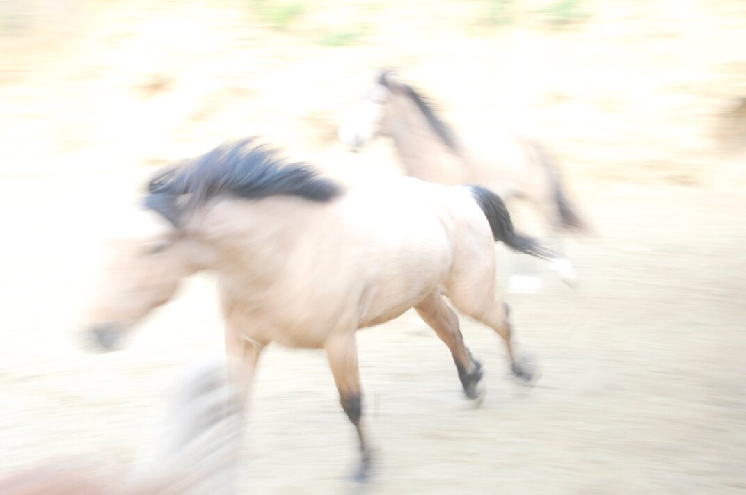 JGphoto 2021 233.jpg