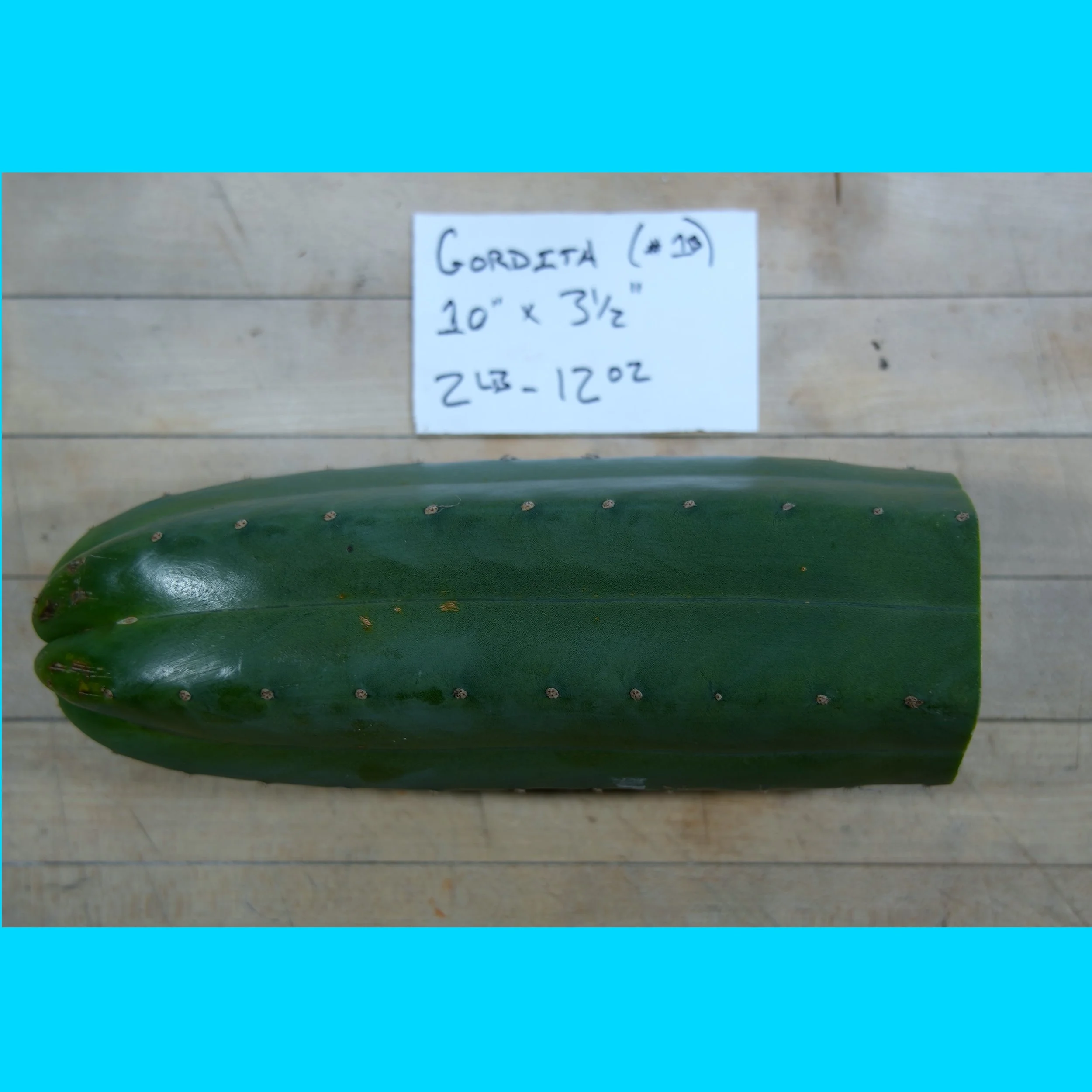 GORDITA 1.jpg