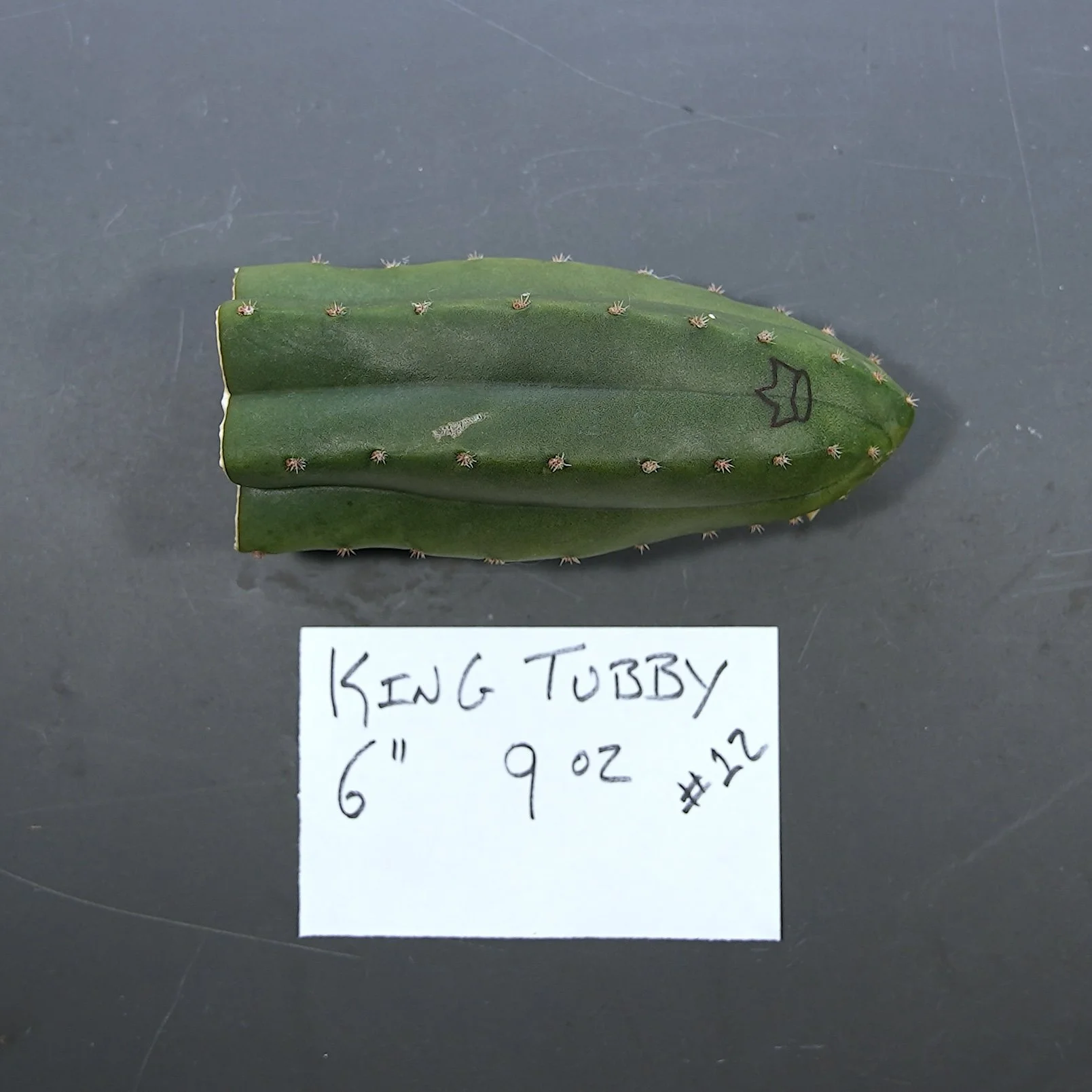 King Tubby 12.JPG