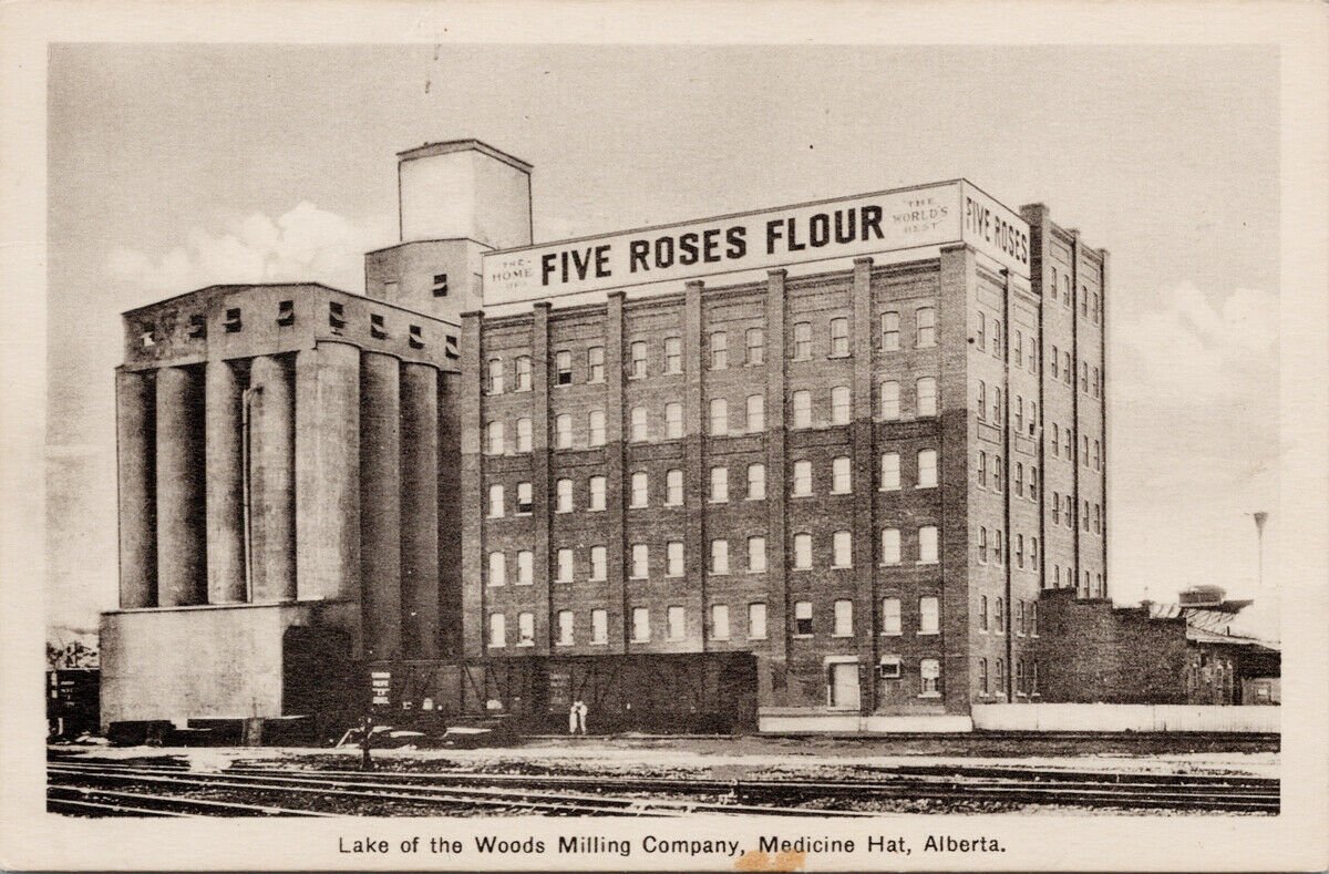 FIVE ROSES FLOUR.jpg