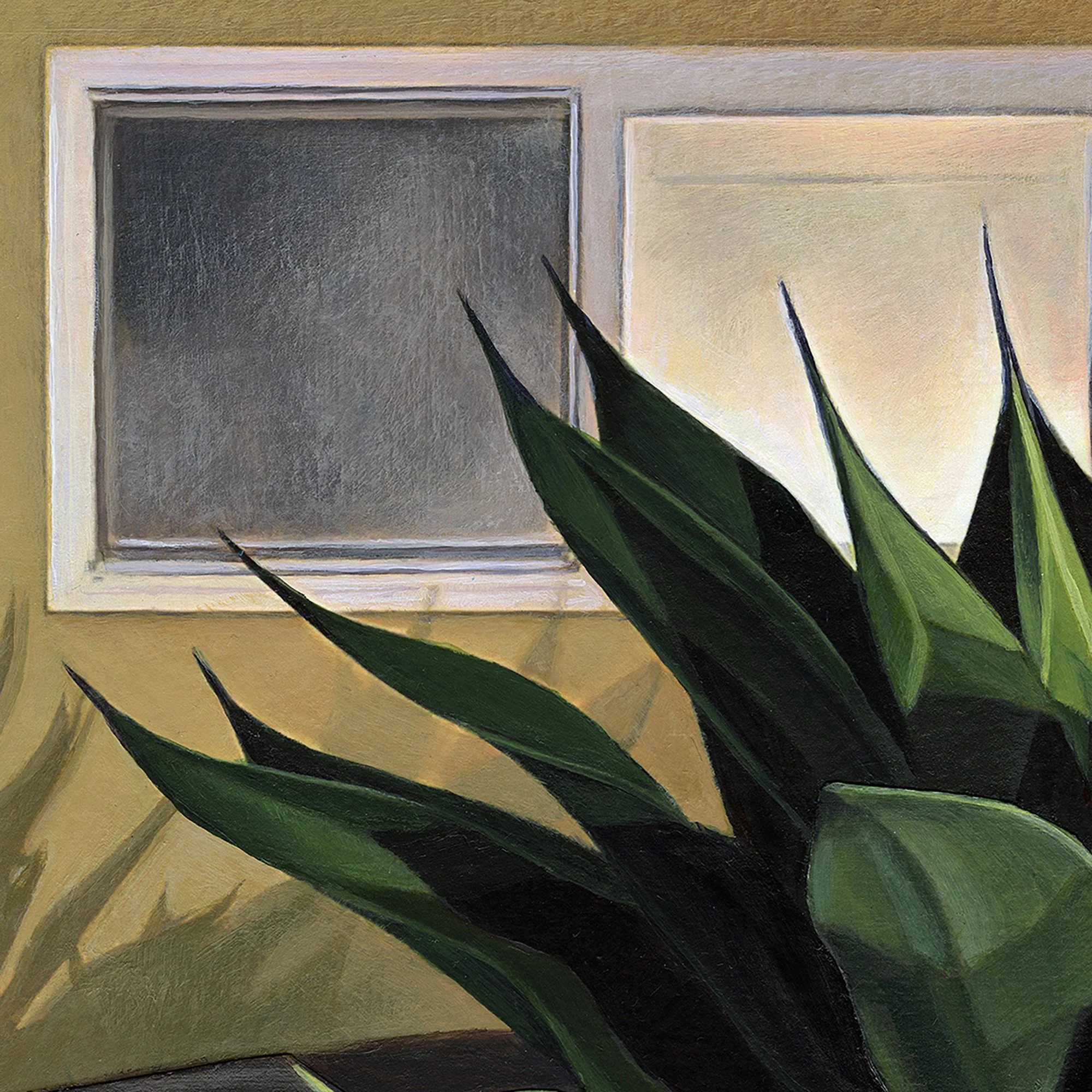 Agave at Night  (detail) 