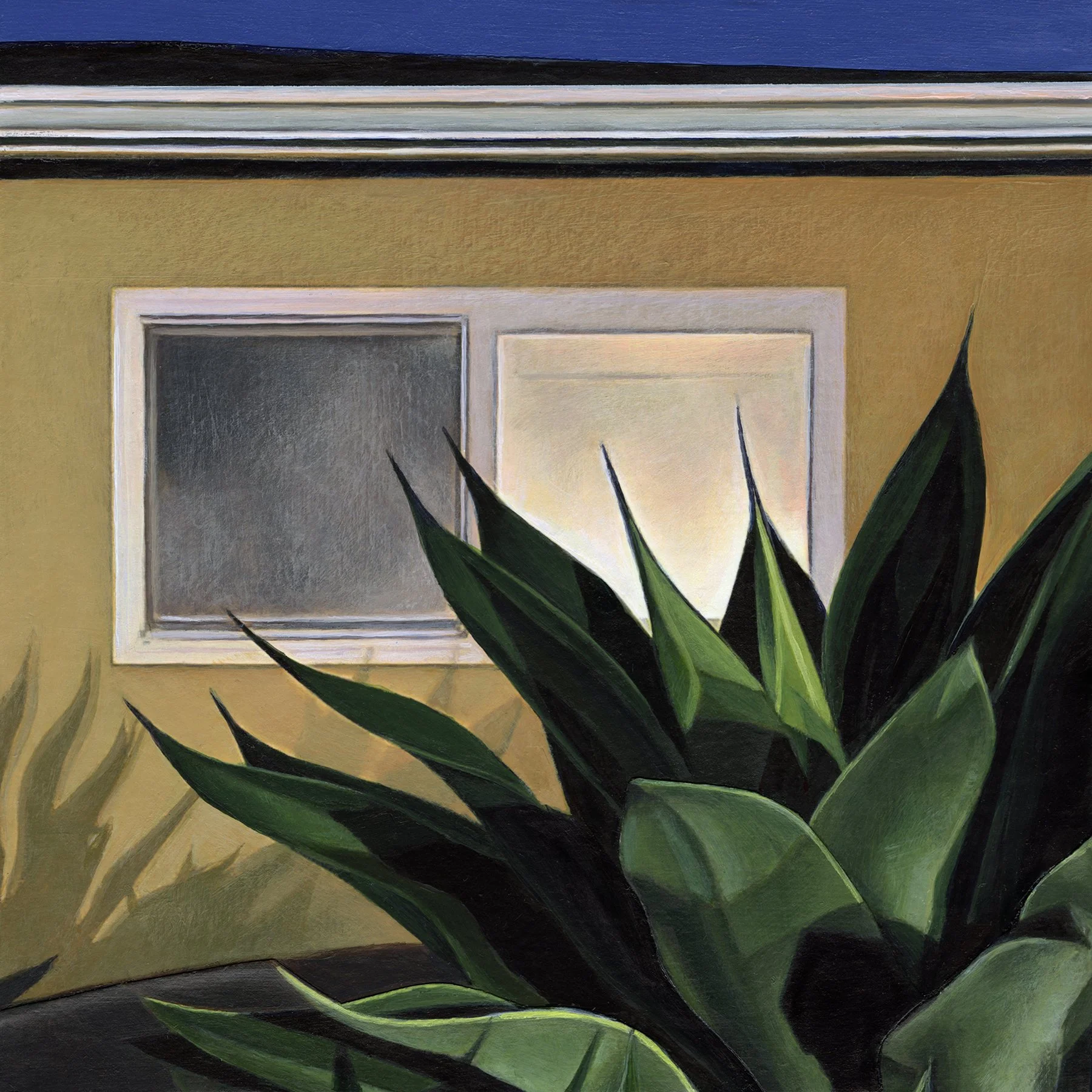 Agave at Night, 8"x8", 2026
   original available at  Nahcotta   , Portsmouth, NH