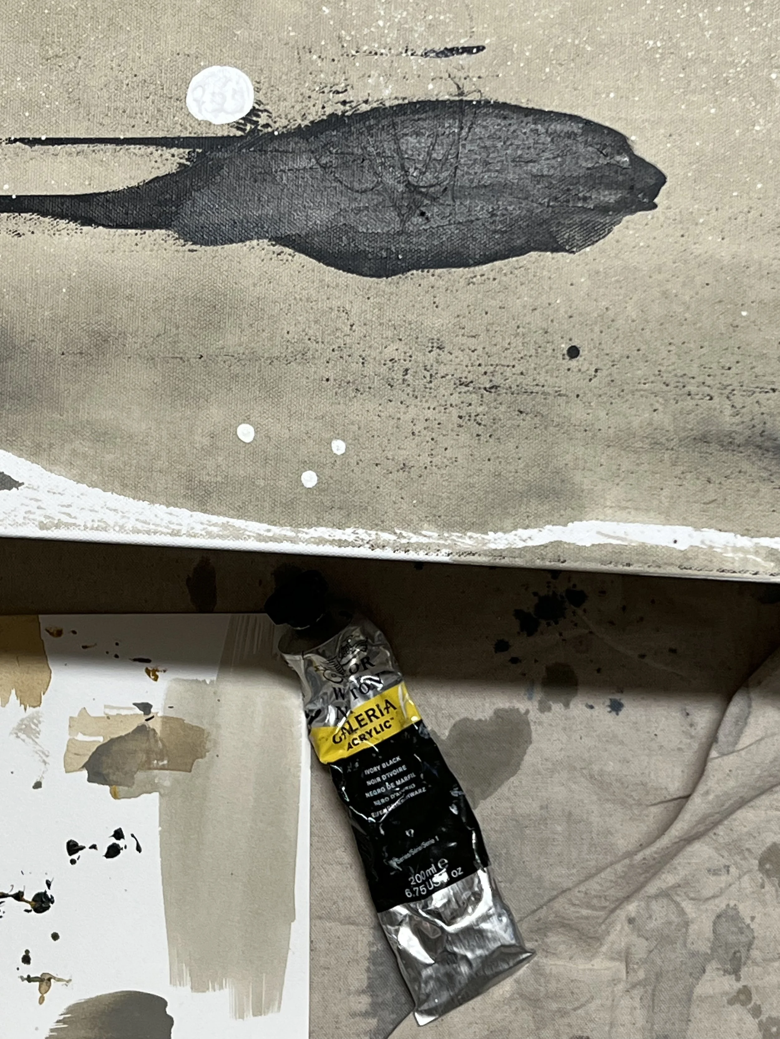 IMG_0200 copy.jpg