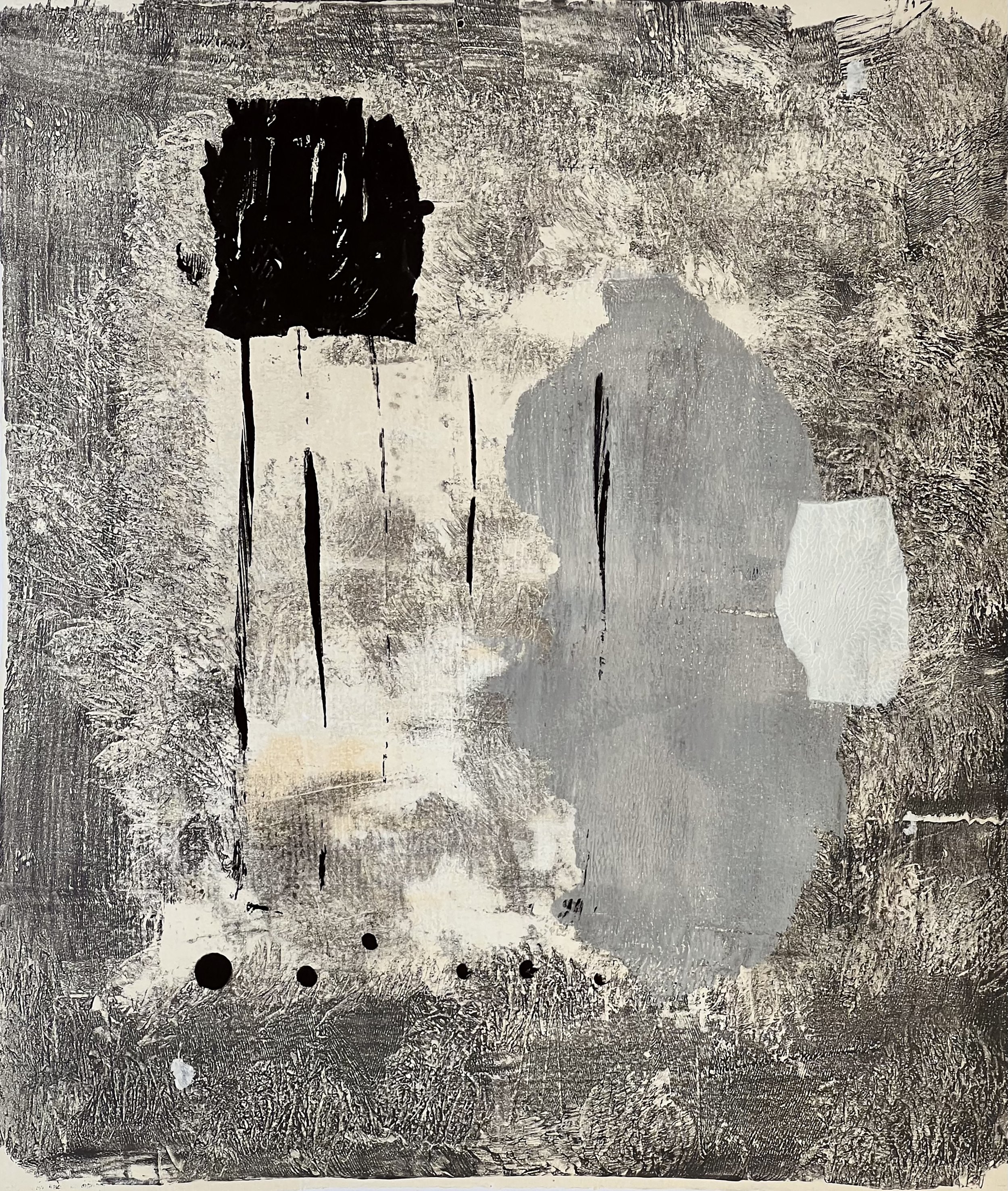 MONO STYDY V_2026.jpg