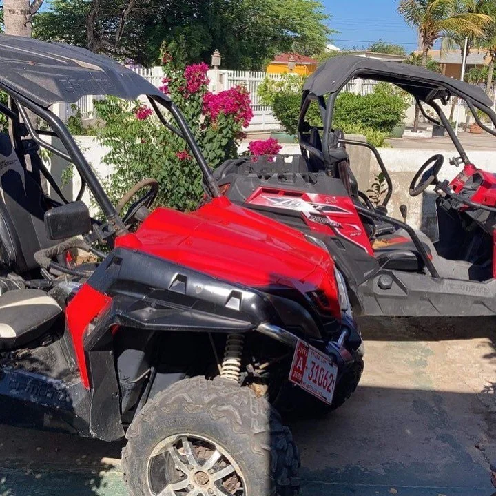 #Foxytoursandtransfers #onehappyisland #tours #atvs #utvs #cruiseships #foxytours