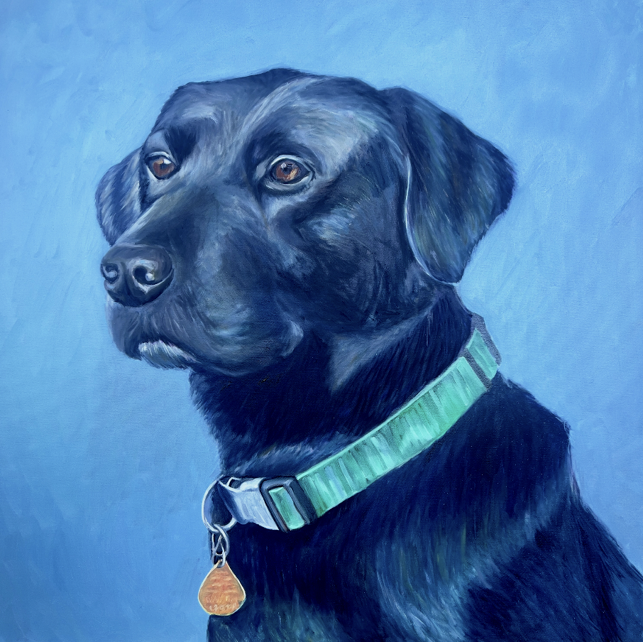 Hand-painted acrylic portrait of a black Labrador Retriever wearing a teal collar, painted from a cherished pet photograph.