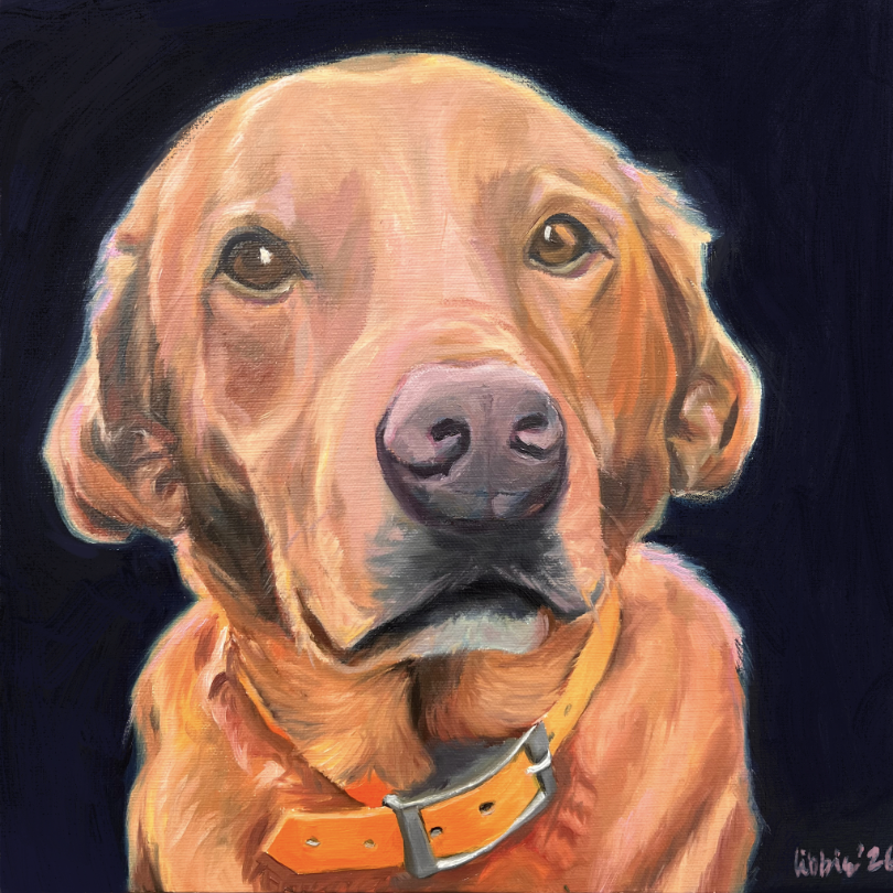 Personalized acrylic portrait of a Golden Retriever with an orange collar, created as a custom pet portrait by Studio LKP.