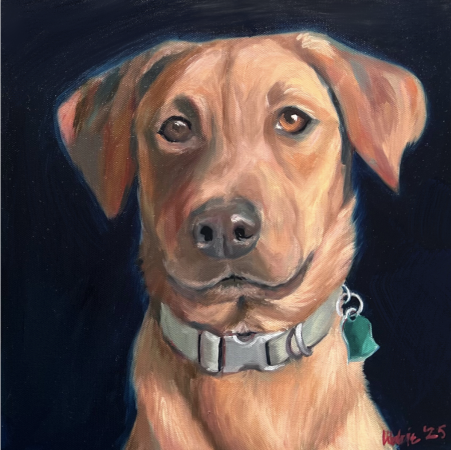 Hand-painted acrylic portrait of a tan mixed-breed dog with a gray collar, created from a client photograph as a personalized dog portrait.