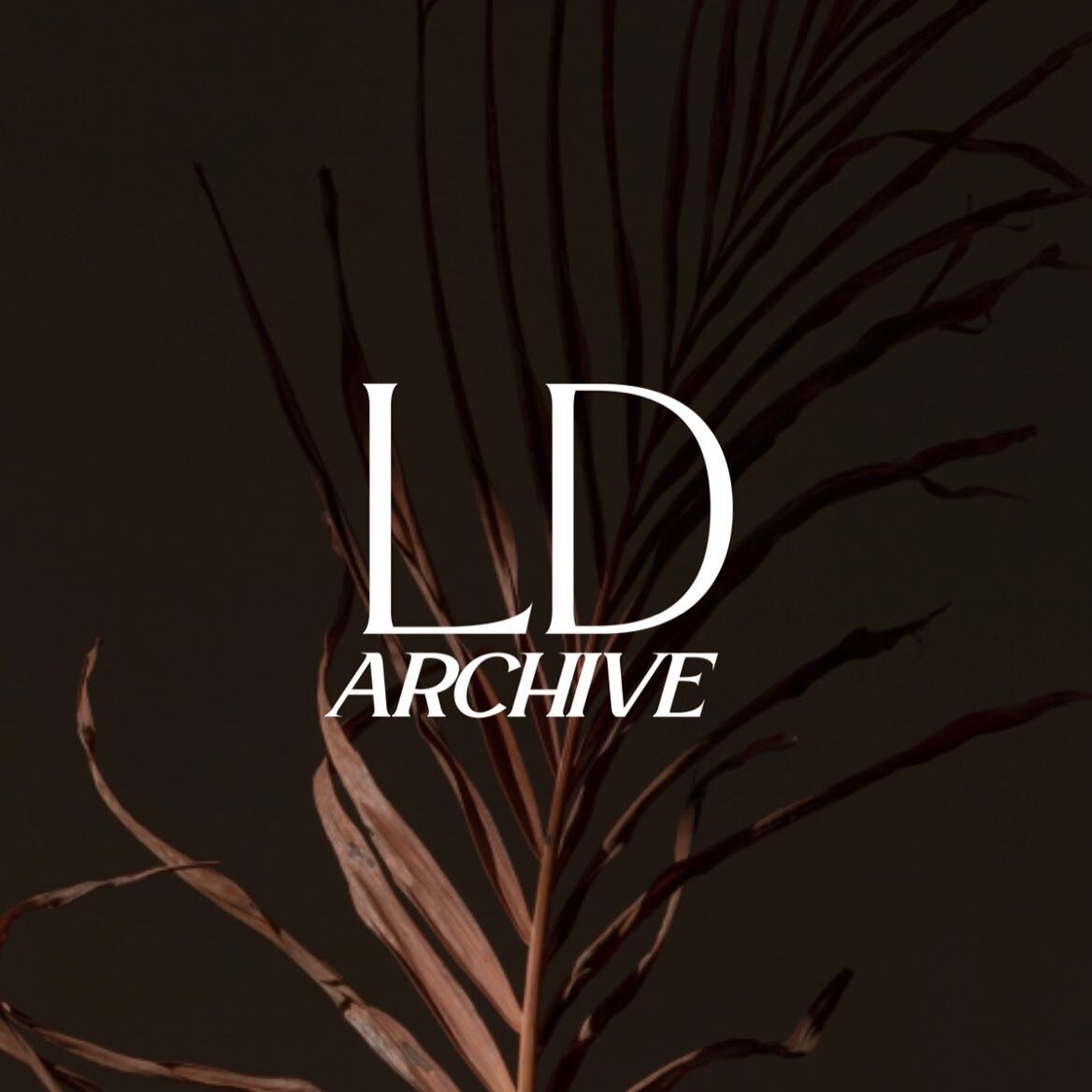 Logos for @ldarchive_ 🛍️
&bull;
&bull;
#graphicdesign #logodesigner #logodesigns #logoinspirations #logoinspire #logotype #logobrand