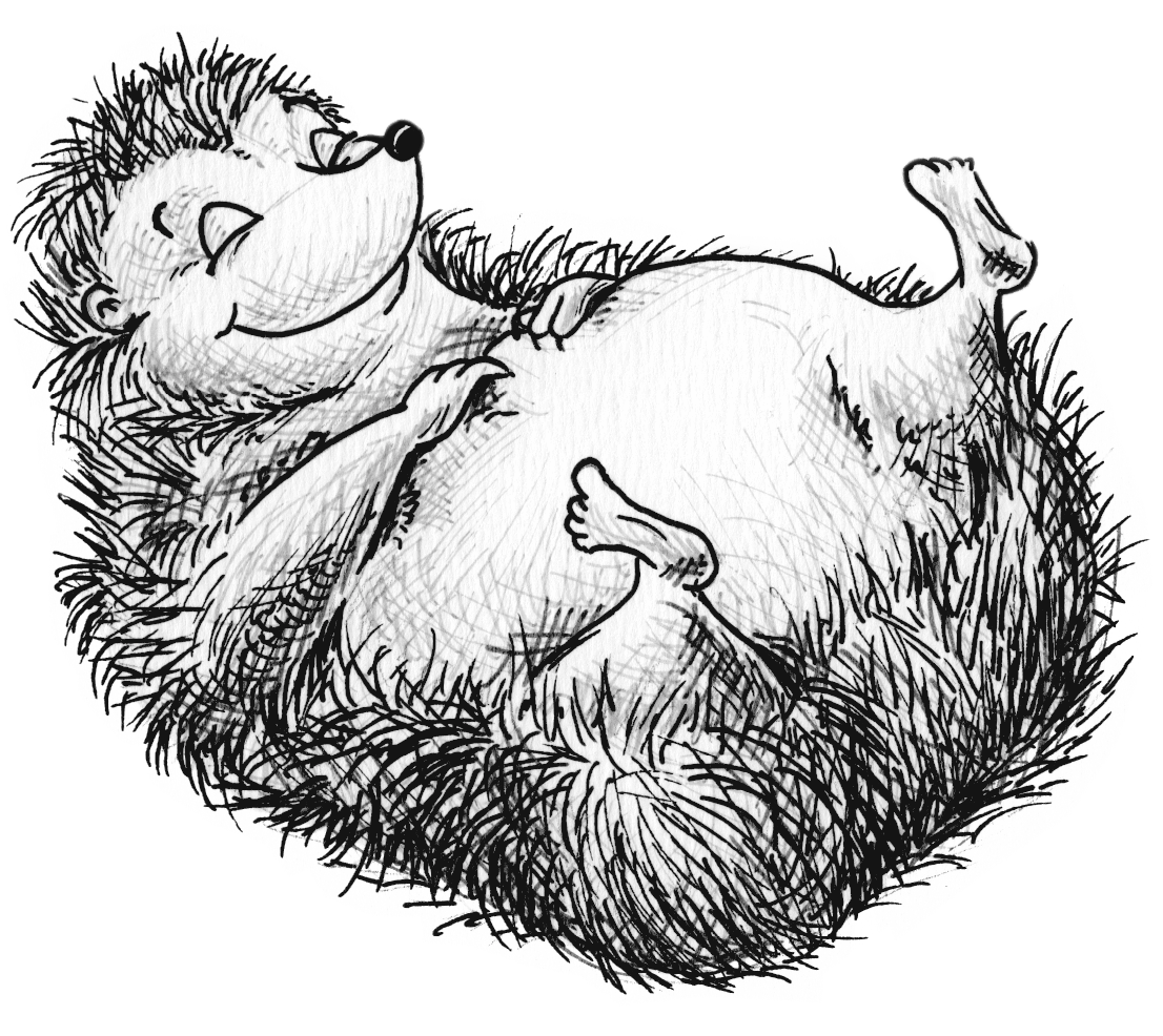 ink-drawing-using-a-sketchy-hatching-technique-of-a-happy-autumn-hedgehog-by-hannah-nicholls