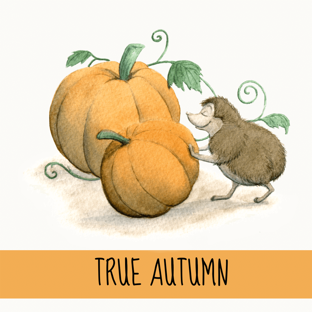 True Autumn - A Seasonal Colour Palette and Cyclical Living in October