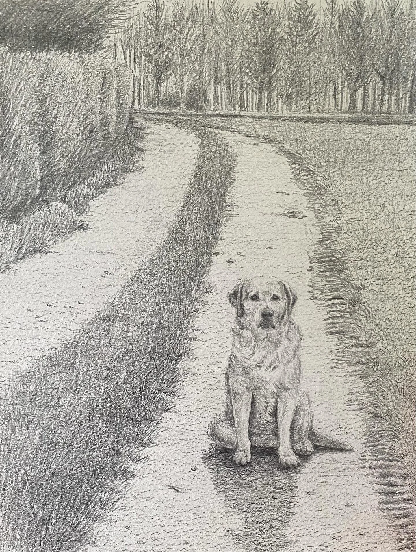 🌱 April photo dump! 🌱✨ Elsa the dog who we lost last year 💔, new bookmark illustrations, &hellip;and new products!!

Lots of dinosaurs with 👶🏼 and Land Before Time 🦕 🦖

We found a mouse in the garden (on the way out 🪽), fed it cheese (as you 