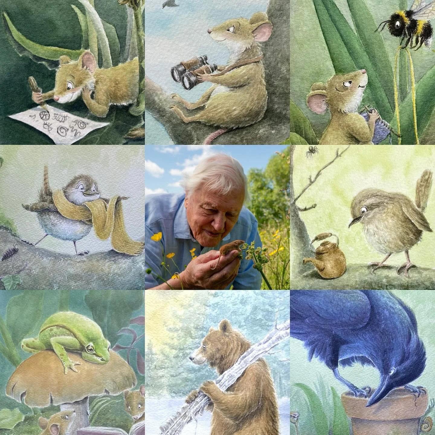 Happy 100th Birthday to David Attenborough! The best human being in the world imo 💚 these are my favourite things about him: his ongoing passion, curiosity and enthusiasm for what he does; his genuine kindness and care for nature; he speaks the trut