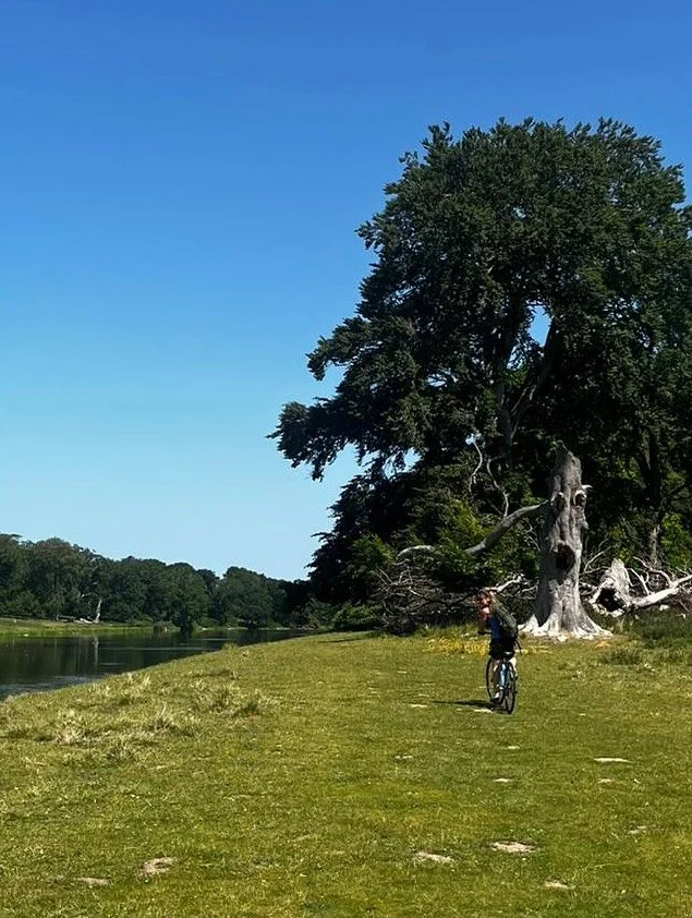 Family holiday in Wells-Next-The-Sea ☀️☀️☀️ 🦭🪁🍦 🚲🌳 🦀 🐚