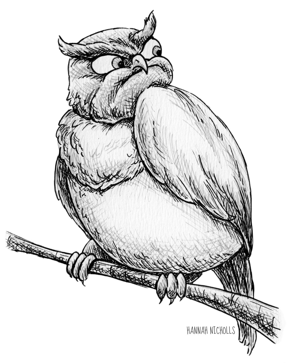 ink-drawing-of-an-owl-not-too-impressed-by-hannah-nicholls
