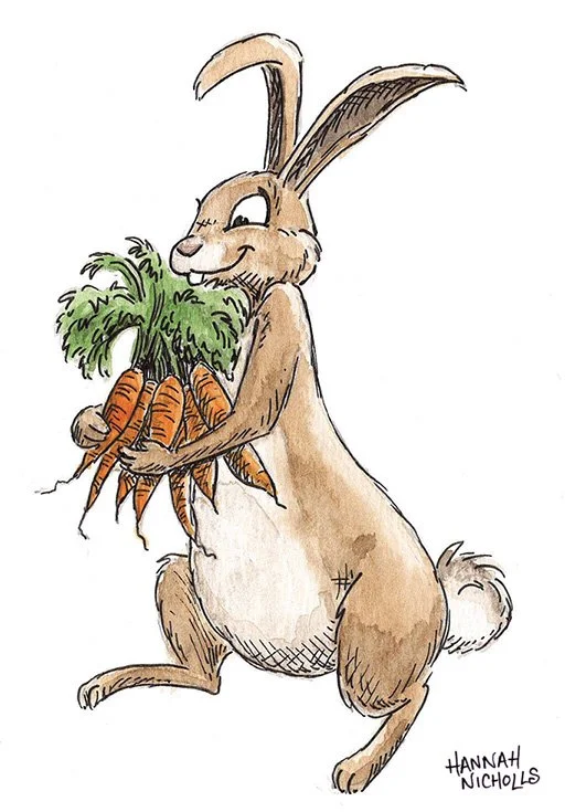 Watercolour-illustration-by-Hannah-Nicholls-of-a-September-hare-character-holding-a-bunch-of-carrots-autumn-theme