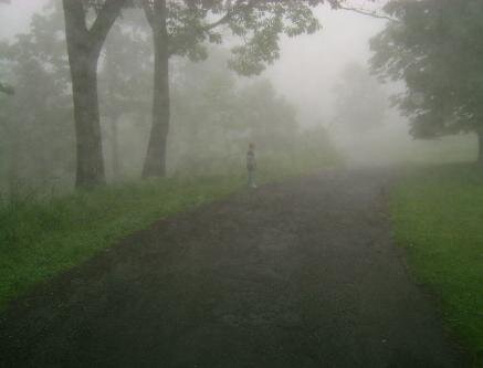 DSC00641-437x333.jpeg