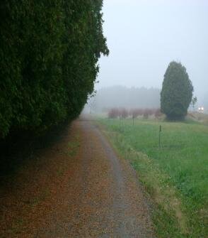 DSC00289-294x335.jpeg
