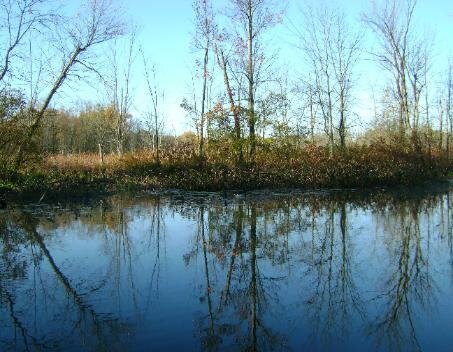 DSC00242-453x352.jpeg