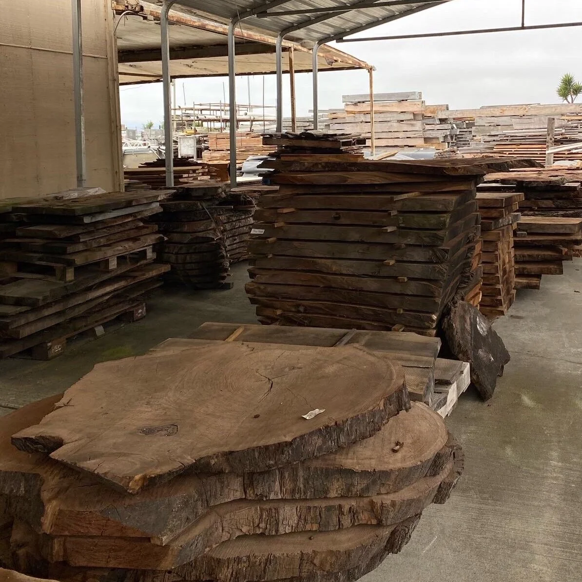 WALNUT SLABS