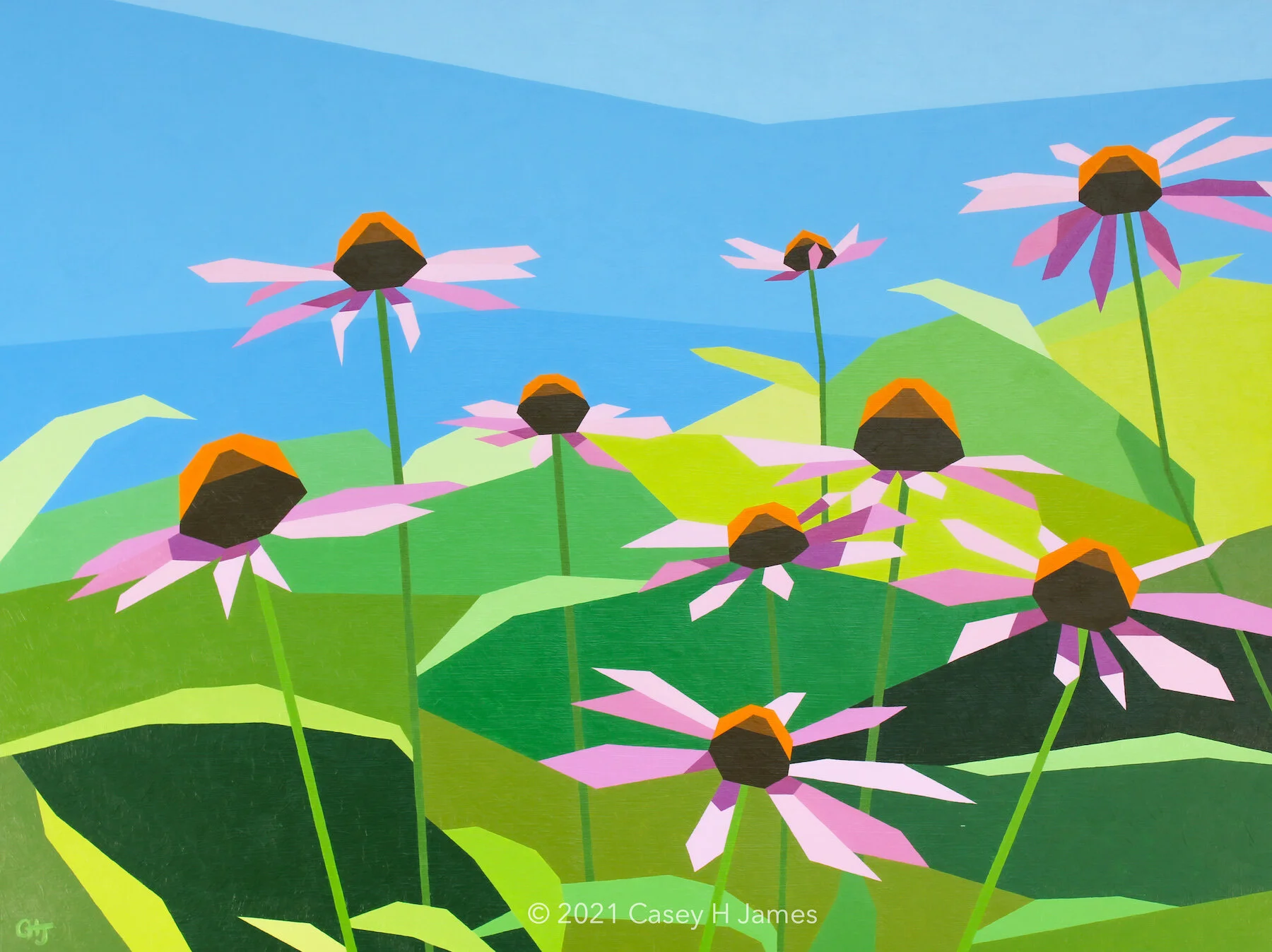 Echinacea with watermark copy.jpg