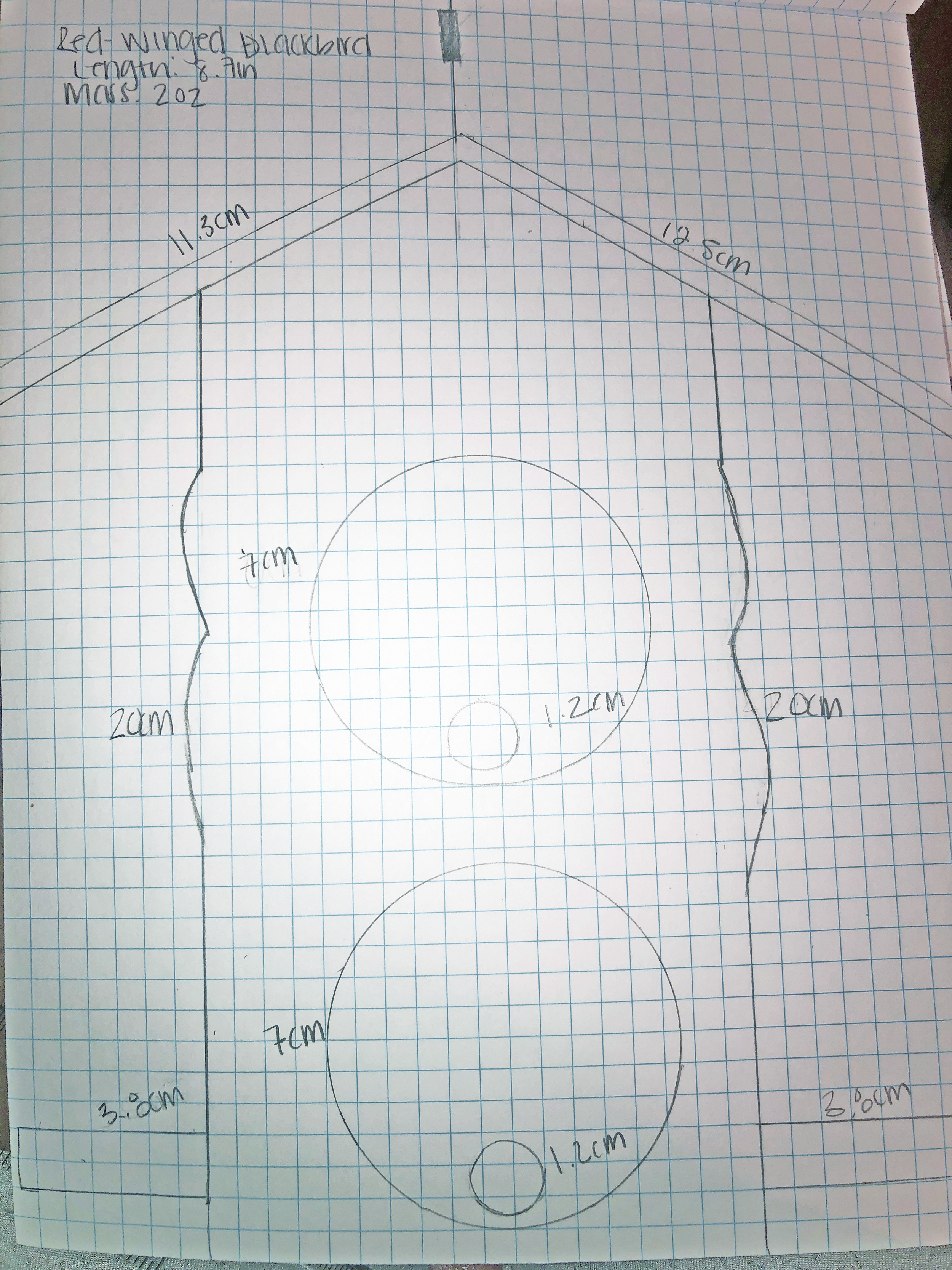Finish Bird House Design #1 (Nov 7, 2020 at 9_12 AM).png