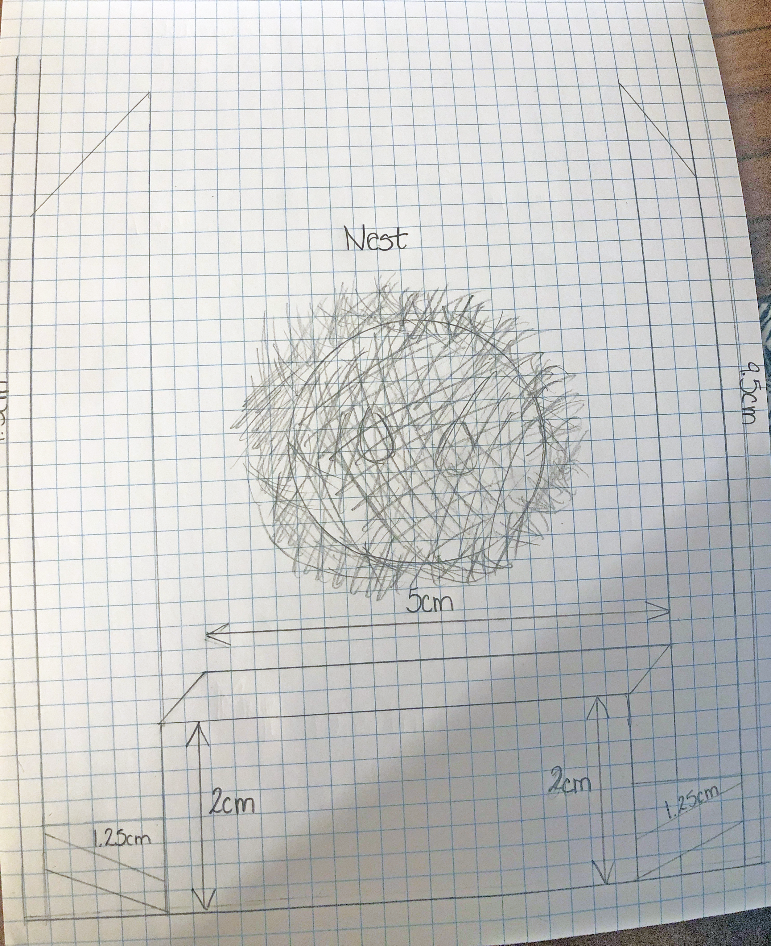 Finish Bird House Design #1 (Nov 7, 2020 at 8_50 AM) copy.png