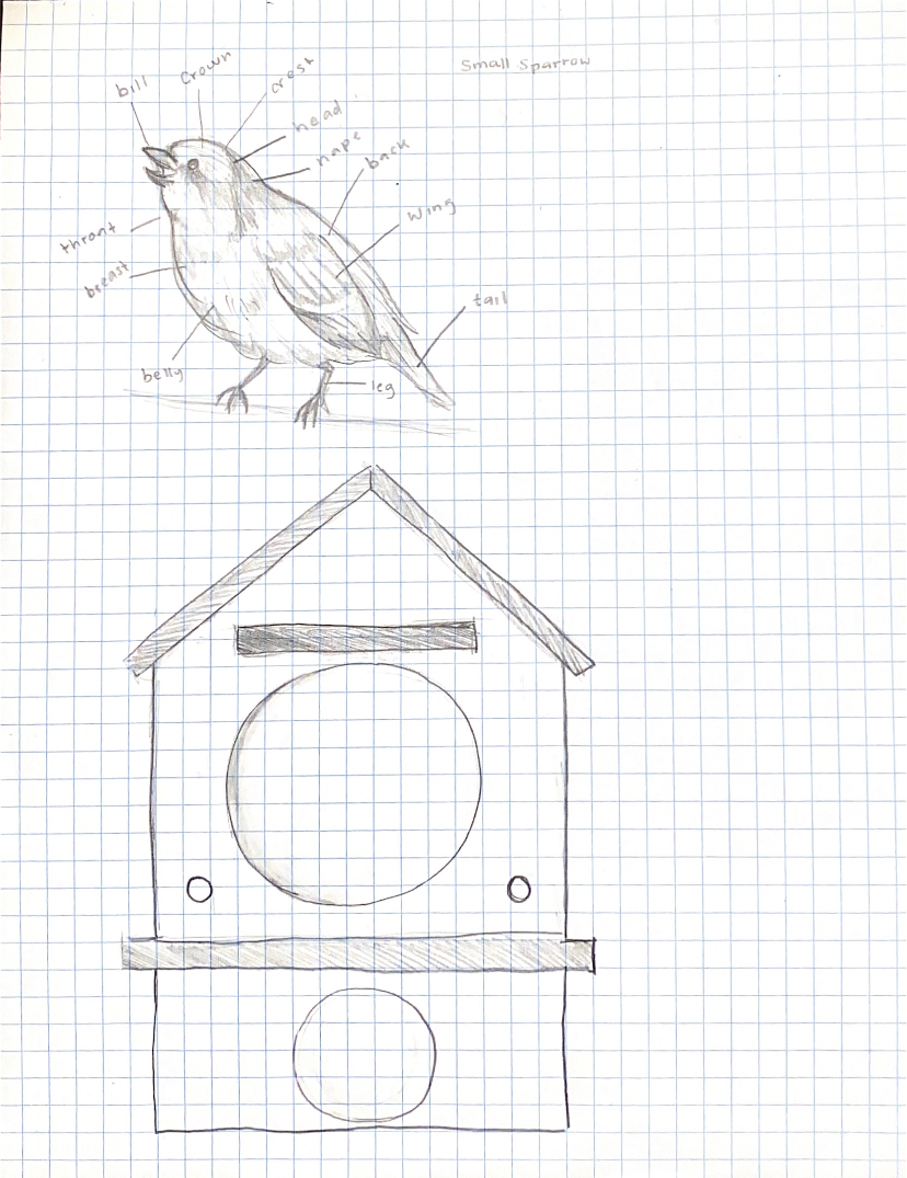Pigeon Birdhouse Outline (Oct 20, 2020 at 4_54 PM).png