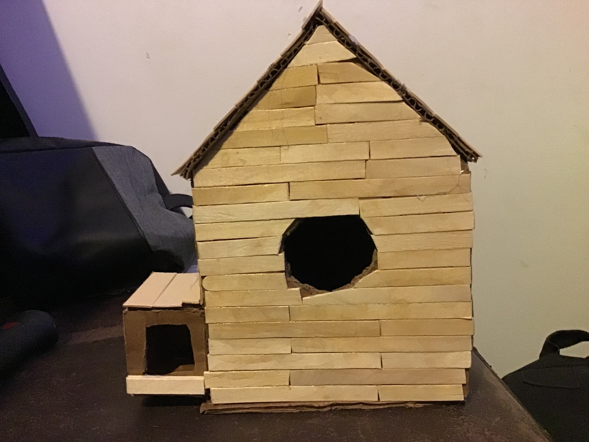 Finish Paneling Birdhouse (Dec 5, 2020 at 9_42 AM).png