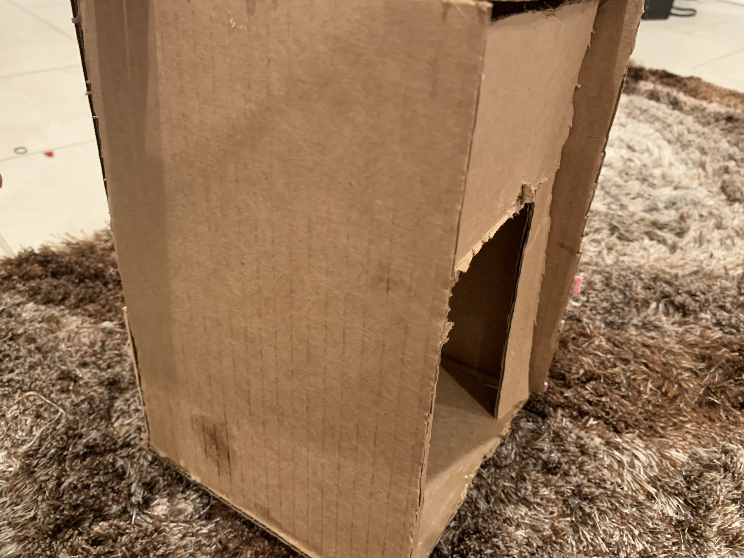 Finish Framework of Final Birdhouse (Dec 1, 2020 at 4_38 PM).png