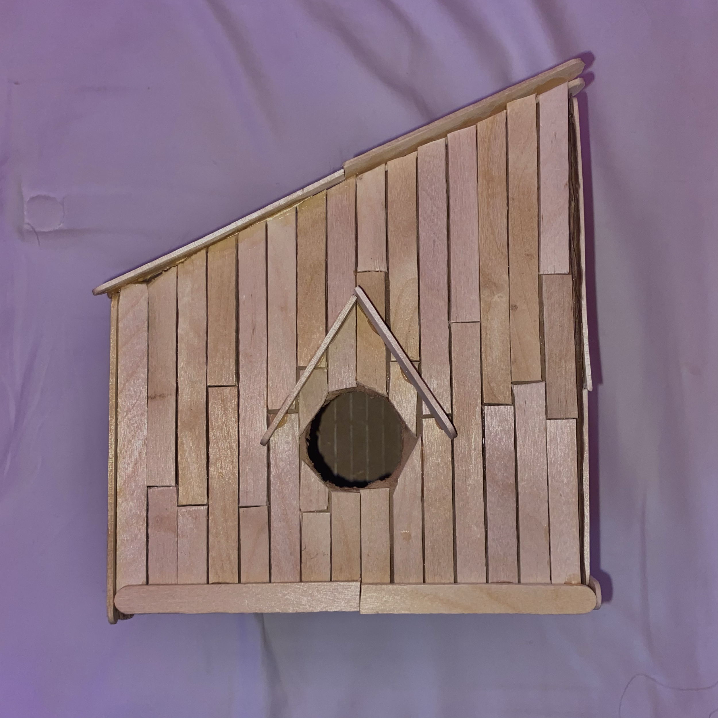 Finish Paneling Birdhouse (Dec 5, 2020 at 10_38 AM).png